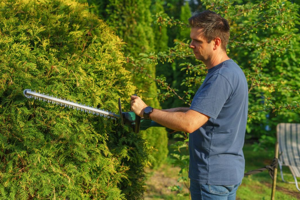Heckenschnitt bei der Gartenpflege