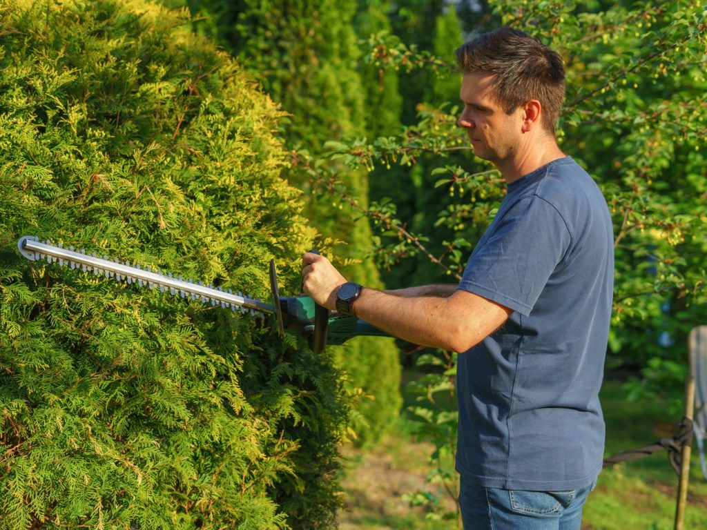 Heckenschnitt bei der Gartenpflege