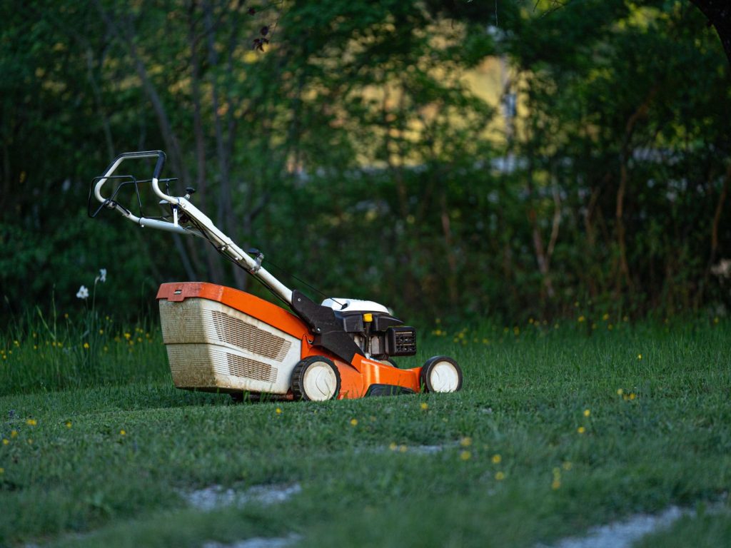 Gartenpflege: Rasenmahd durch den Gärtner